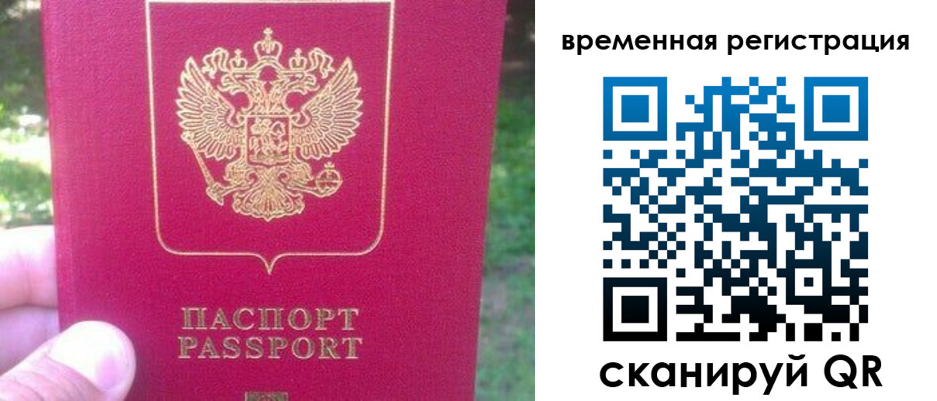 временная регистрация для школы в Новошахтинске